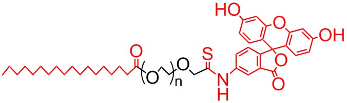 硬脂酸 聚乙二醇 荧光素，SA-PEG-FITC，硬脂酸PEG荧光素